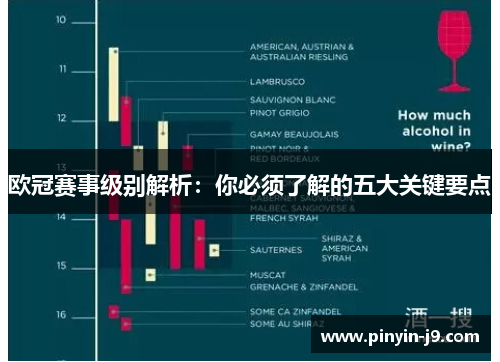 欧冠赛事级别解析:你必须了解的五大关键要点 欧冠赛事级别解析:你必须了解的五大关键要点
