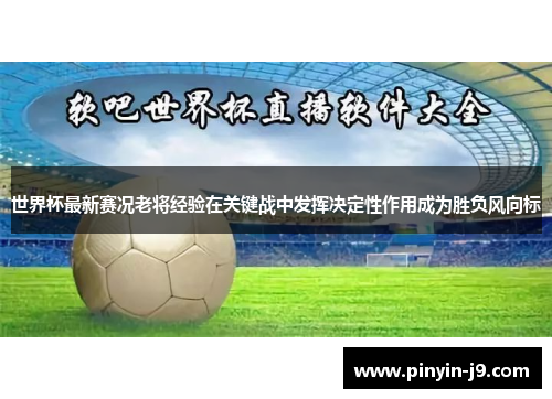 世界杯最新赛况老将经验在关键战中发挥决定性作用成为胜负风向标