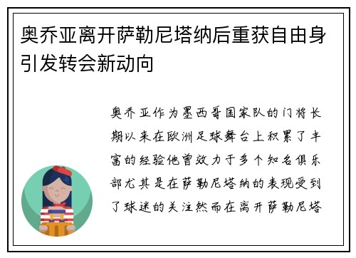 奥乔亚离开萨勒尼塔纳后重获自由身引发转会新动向